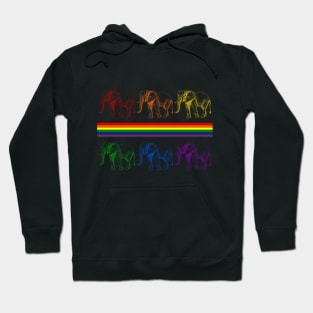 Rainbows and Elephants Equality Hoodie